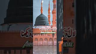 Ahmed Ali Hakim New Kalam 2023 #ahmedalihakim #youtubeshorts #GhumbadeKhazra #masjidnabawi #newnaat