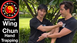 Wing Chun & JKD Double Pak Sao Trapping Technique
