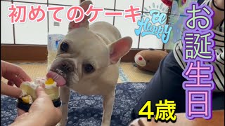 【お誕生日】フレブル4歳の誕生日。初めてケーキを食らう！