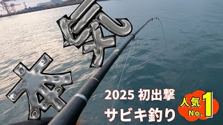 【サビキ釣り】2025初釣りは人気NO1の釣り 🙅‍♀️ 本気でサビキ