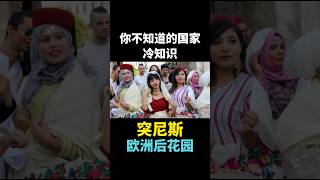 你不知道的国家冷知识，突尼斯《欧洲后花园》