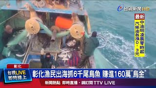 全台抓烏魚漁船約20艘! 僅2艘抓逾5千尾