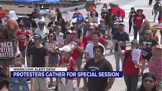 Protesters gather for special session