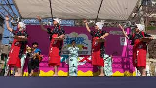 安来節演芸（どじょう掬い踊り・女踊り）　新世界111thフェス～ナニワ区EXPO～　2023年11月3日Yasugibushi entertainment