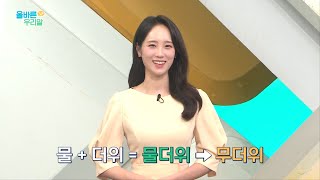 [올바른 우리말] '무더위'의 정확한 뜻과 어원은?