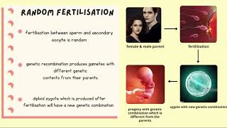 12.1 TYPES AND FACTORS OF VARIATION