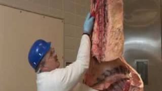 Beef Carcass Fabrication: Overview