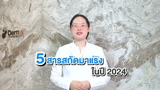 ✨ ปี 2024 นี้สารสกัด Derma Innovation สุดฮิตชนิดไหนบ้างที่ต้องมี! ✨