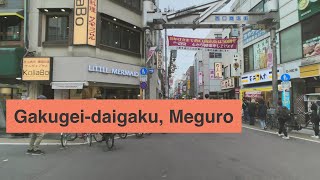 Gakugei Daigaku Walk 4K