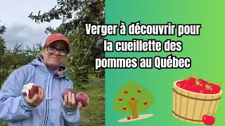 Verger à découvrir pour la cueillette des pommes au Québec