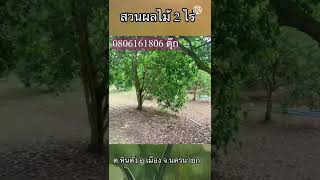 สวนผลไม้รวม 2 ไร่ #สวนผลไม้ #ที่ดินนครนายก