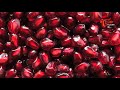 దానిమ్మ గింజలు తినడం వల్ల కలిగే లాభాలు special health benefits of pomegranates teluguone health