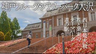 【シニアの道の駅散策】神戸フルーツ・フラワーパーク大沢