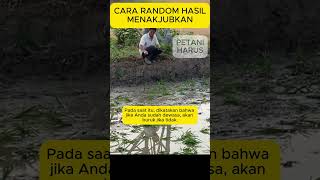 Mengapa Petani Indonesia Semakin Miskin?