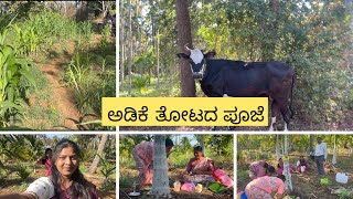 Village life | village vlog ||ಅಡಿಕೆ ತೋಟದ ಪೂಜೆ | 🌳🌴🌱❤️😍