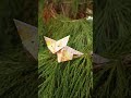 Cute origami fox hanging out in a tree #origami #paperfolding #shorts