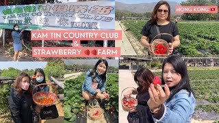 Strawberry farm # Kam Tin #Hong Kong 🇭🇰