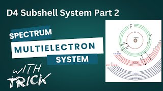 Understanding the D4 System in Multi-Electron Systems-part 2