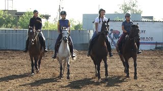 В копейском конном клубе появились новые питомцы