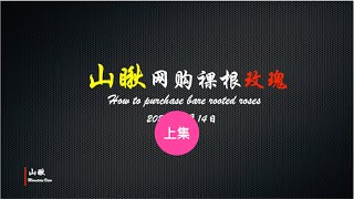 山瞅网购裸根玫瑰 上 (第24期) How to purchase bare rooted roses 1 (Ep24)