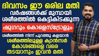 ദിവസം ഈ ഒരില മതി വർഷങ്ങൾക്ക് മുൻപായി ശരീരത്തിൽ കെട്ടികിടക്കുന്ന ഷുഗറും കൊളെസ്റ്ററോളും പുറത്തു പോവാൻ