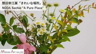 野田幸江展「きれいな場所」展覧会風景 / NODA Sachie “A Pure Place” Exhibition View