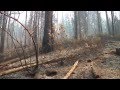 State of Fire: Fire in Oregon's Forests 2014