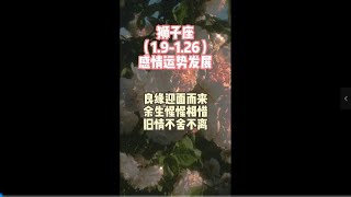 狮子座（1.9-1.26）感情运势发展，良缘迎面而来，余生惺惺相惜，旧情不舍不离。#爱情 #情感塔罗 #星座 #前任