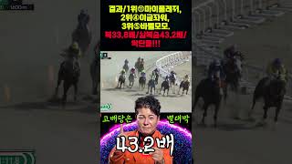 부산경마 43.2배 단방을 또 미리 예고한 별대박 ㄷㄷ 몇주째야 도대체