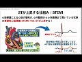 【心筋梗塞の心電図波形を学ぼう！】12誘導心電図の基本､st上昇 低下の仕組みを解説！