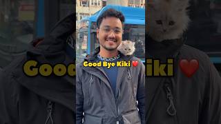 Good Bye Kiki ❤️ #shorts #vlog #minivlog #kitten