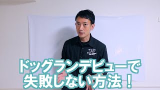 【解説】ドッグランデビューで失敗しない方法をお伝えします