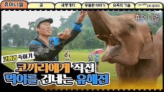 이렇게 가까이서 보긴 진짜 처음이다. 코끼리에게 직접 먹이를 건네는 유해진