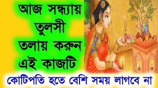 আজ সন্ধ্যায় তুলসী তলায় করুন এই কাজটি কোটিপতি হতে বেশি সময় লাগবে না Tulshi Planet