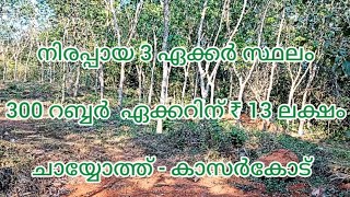 3 ACRE LAND 4 SALE !! ACRE 13 LAKH ONLY CHAYOTH ( KASARAGOD )#8921388078