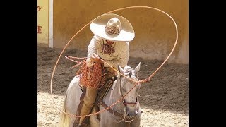 Lindo es Hidalgo (Canción)