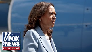 Amazon's Alexa takes heat for 'error' praising Kamala Harris