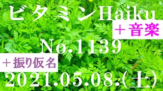 今日の俳句＋音楽。ビタミンHaiku。No.1139。2021.05.08.(土曜日)