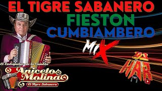 ANICETO MOLINA EL TIGRE SABANERO FIESTON CUMBIAMBERO MIX DJ HAR