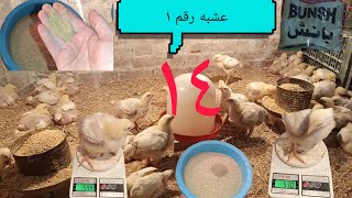 اقسم بالله عشبه سحر للكششان والاسهالات والديدان وخاصةٍ الاسهال الاحمر # معلقه علي المياه هتزود الوزن