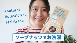 【オランダ生活】Seepjeソープナッツでお洗濯｜天然石けん・生分解性・SDGs・プラスチックフリー・フェアトレード