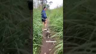 Esther Anil Climbs Up with her Dog New Video
