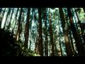 (HD) Hearing Damage Thom Yorke - VICTORIA_ECENA_LOBOS