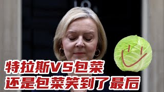 特拉斯VS包菜？惨败！