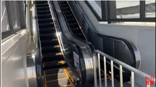 【フジテック】1X新しいエスカレーター　相鉄海老名駅北口【2023年3月25日新設】 new escalator Ebina station Sotetsu line Kanagawa Japan