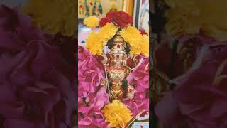 எனக்கு வேறு வழியே இல்லை என்னை காப்பாற்றும் முருகா #murugan #murgan #shortvideo #shortsviral