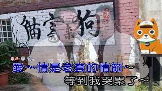 忠告  屏東張菲  薩克斯風 演奏