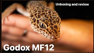 Unboxing and Overview of the Dual Godox MF12 flash System!