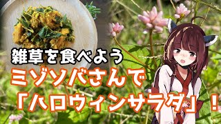 【思い切って野草を食べてみよう】#40 ミゾソバさんで「ハロウィンサラダ」！