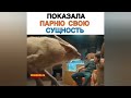 ПОКАЗАЛА ПАРНЮ СВОЮ СУЩНОСТЬ Как называется Фильм Название фильма в видео...